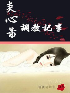 炎心錄——調教記事